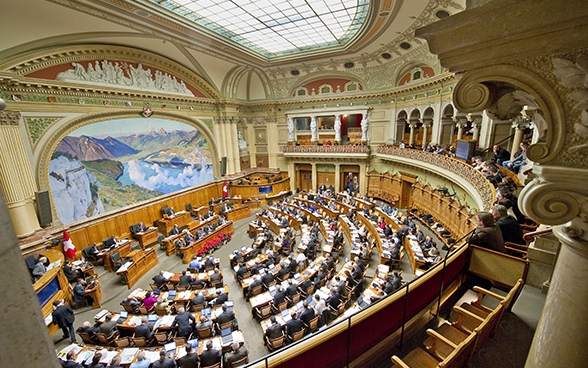 Parlamentarier im Nationalratssaal