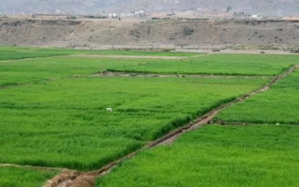 Newly irrigated agricultural land in Zazi Maydan district, Khost