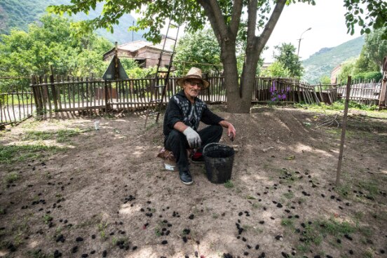 Zhora grandpa, Tumanyan municipality