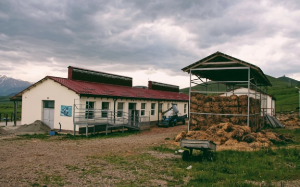 Animal Market in Syunik region © FDFA