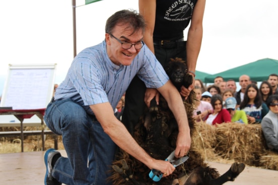 Ambassador Gasser at Sheep Shearing Festival 2018