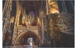 Die Riesen-Orgel im Stephansdom
