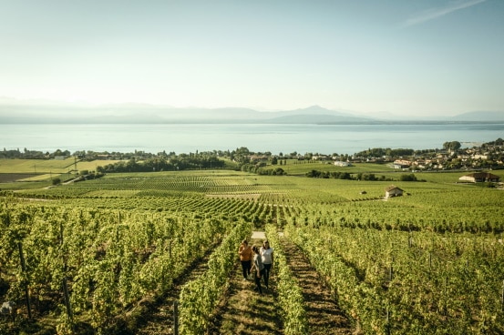 Weingut Bougy-villars 