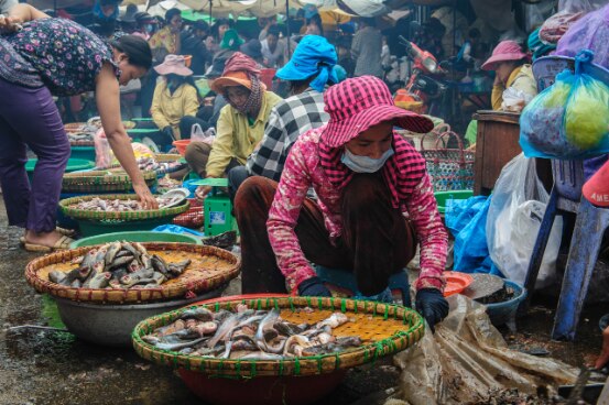Fish market in Kratie, Cambodia
