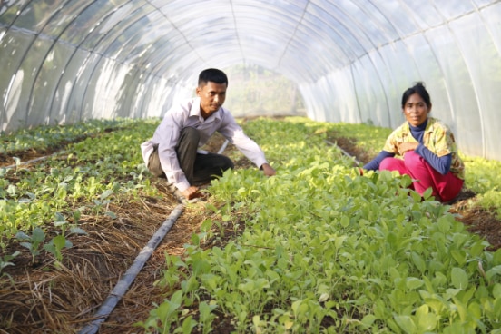 Horticulture farmer in Preah Vihear province, Cambodia