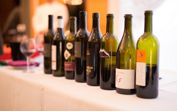 Bottles of wine tasted at the event 