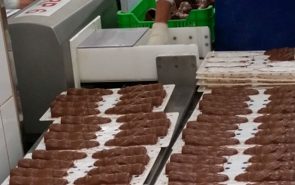 Diósgyöri csokimikulások becsomagolásra várva © Svájci Nagykövetség