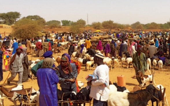 Marché transfrontalier de vente de bétail