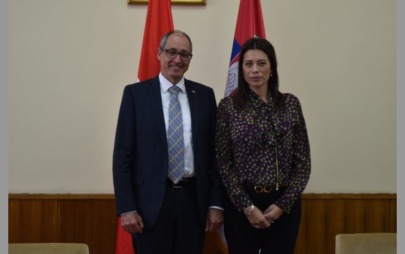 Swiss Ambassador with Minister Vujovic