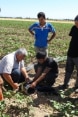 WRMSP - con gli agricoltori del settore