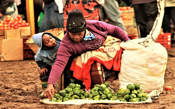 Switzerland strengthens community skills in Zimbabwe’s urban centres through WFP 