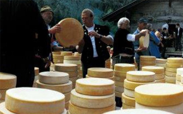 Käse wird bei dem traditionellen Fest „Käseteilet“ im Justistal geteilt