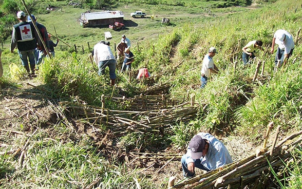 Un grupo de aldeanos instala en un terreno en pendiente barreras de bambú para contener el agua.