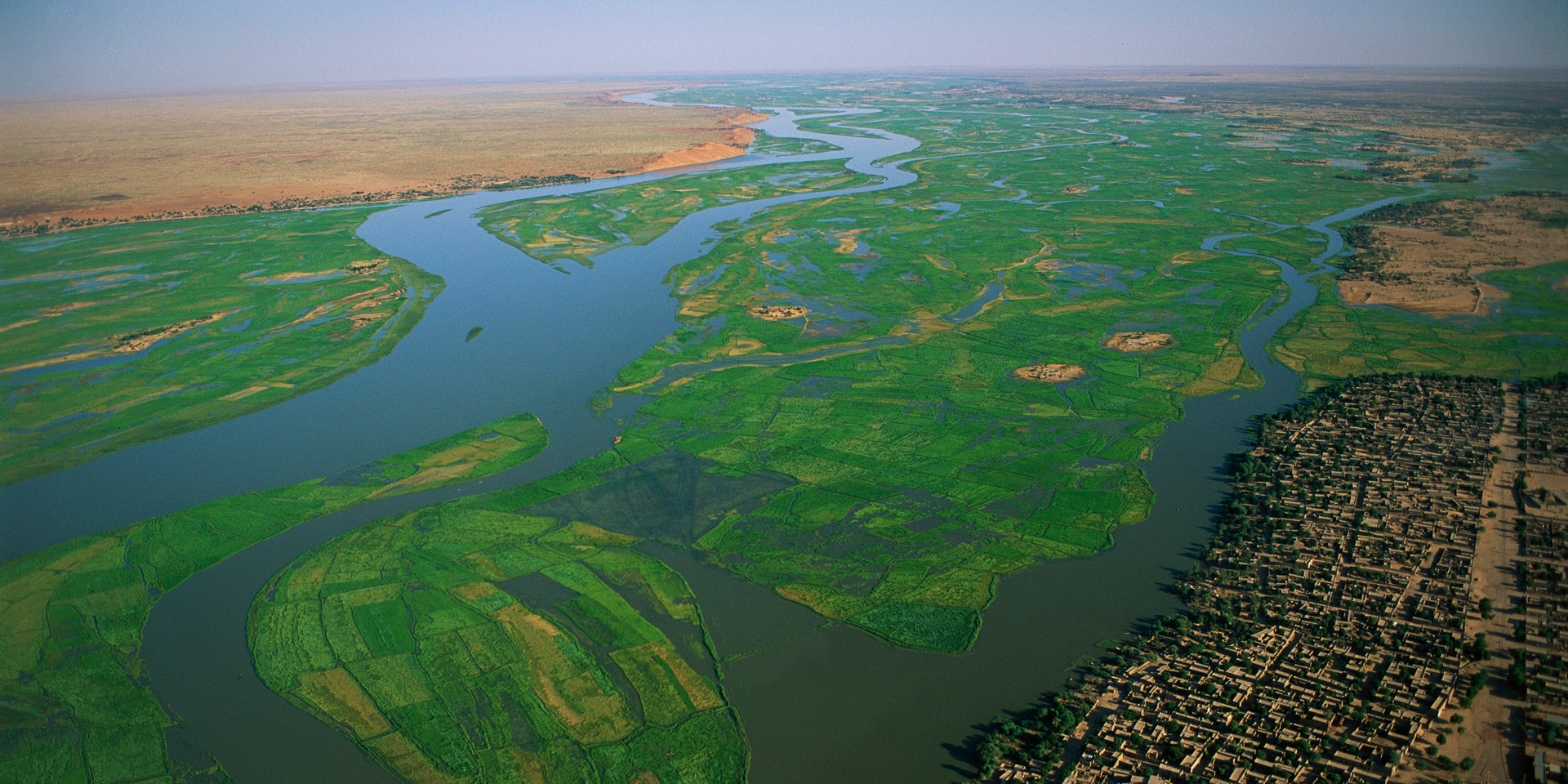 Rizières irriguées par le fleuve Niger au Mali.