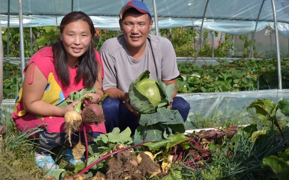 Bauern des Mongolian Potato Project posieren mit geernteten Kartoffeln.