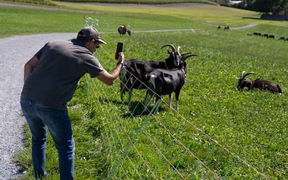 Sandro Didebashvili fotografía una cabra.