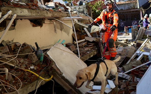  A dog handler dressed in orange leading a rescue dog over the rubble of a collapsed building.