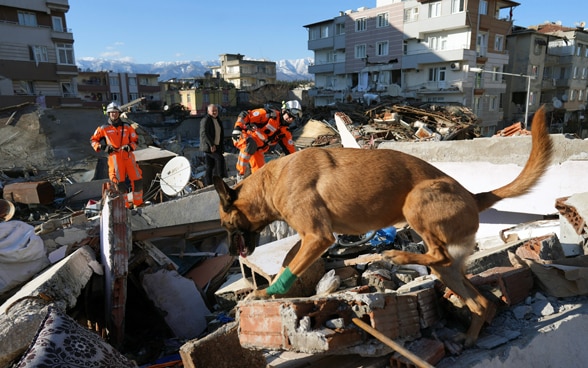 A dog jumping over the debris of a collapsed building, followed by two members of Swiss Rescue.