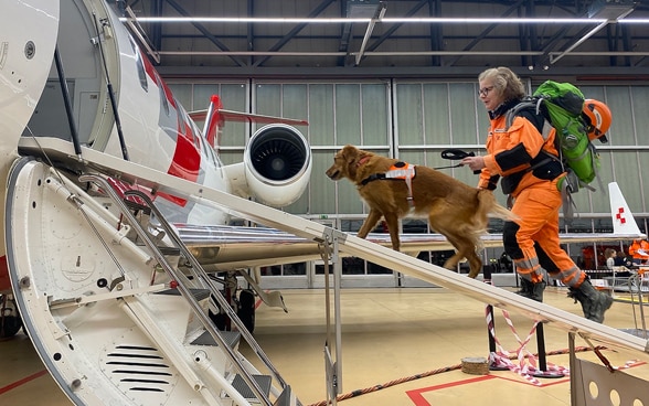 A woman walking up a ramp to board an aircraft with her dog. 