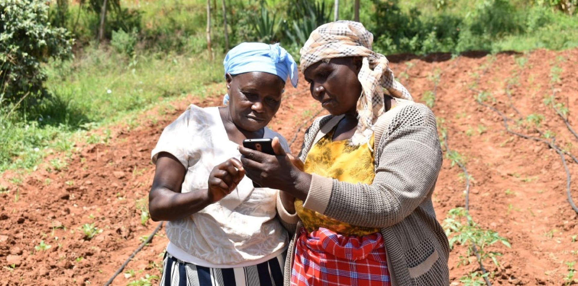 Two women in a field are looking at a smartphone.