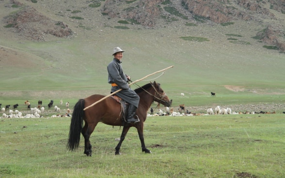 Berger mongol sur son cheval.