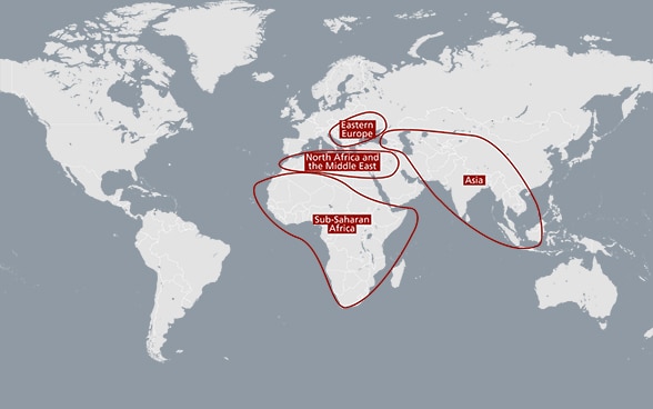 The FDFA's development cooperation work will focus on four priority regions. 