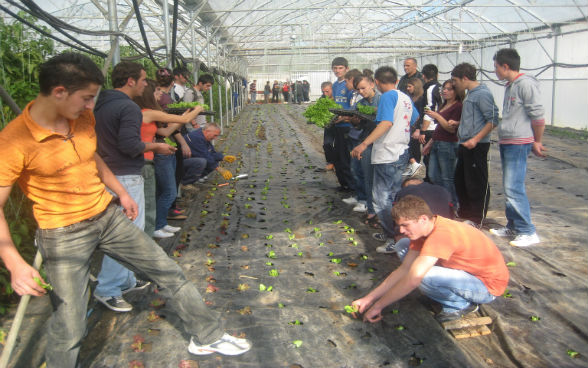 Scuola agraria a Pristina, progetto "Vocational Education Support Project" 2011