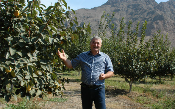 La imagen muestra a un horticultor junto a uno de sus árboles frutales.