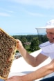 A man in a protective suit holding a honeycomb full of bees on the roof of a high-rise building.