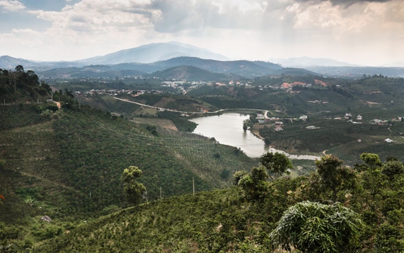 Rivière Srepok, Vietnam, utilisation efficiente de l’eau dans la production de café.