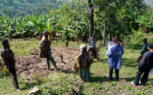Campesinos reunidos y discutiendo en una plantación de bananas