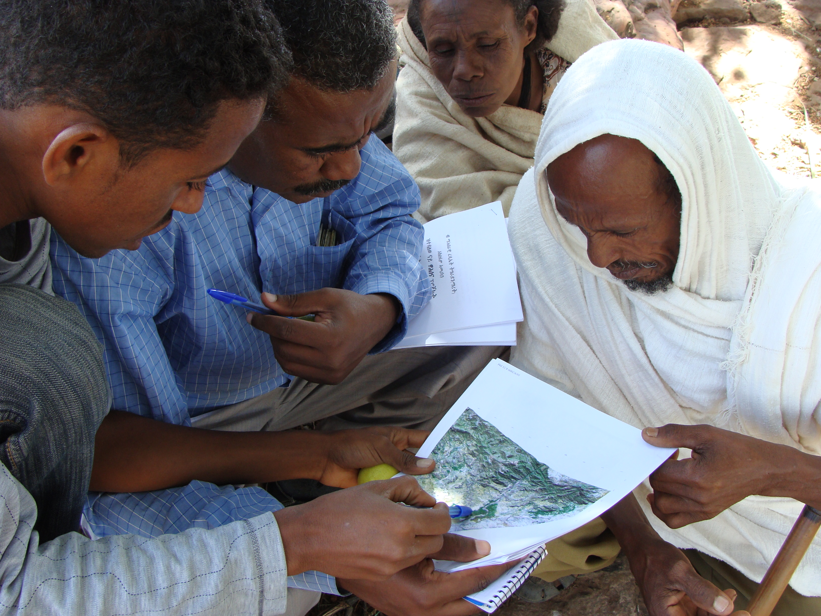 Farmers analysing vegetation maps