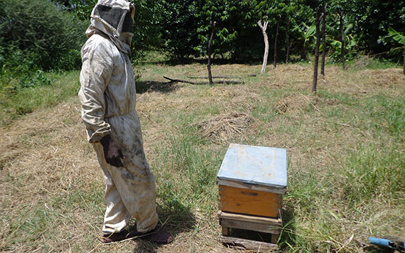 Ein Imker in Darfur im Sudan steht vor einer Holzkiste mit Bienen.