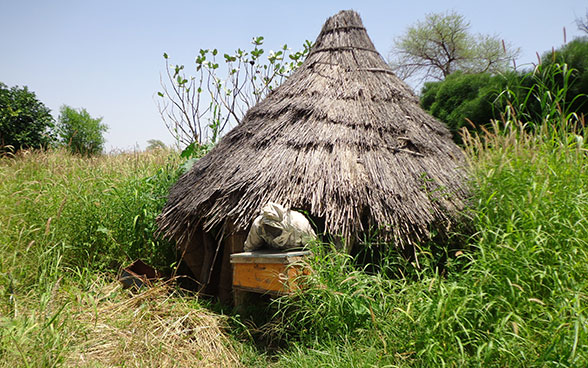 Ein Imker in Darfur im Sudan verlässt ein Bienenhaus.