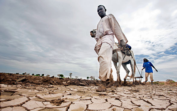 Zwei Bauern in Darfur im Sudan pflügen einen ausgetrockneten Acker. 