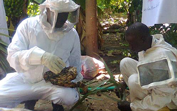 Ein Imker in Darfur im Sudan erklärt und veranschaulicht einem anderen Imker anhand einer Bienenwabe etwas. 