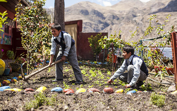 Deux jeunes garçons travaillent au potager.