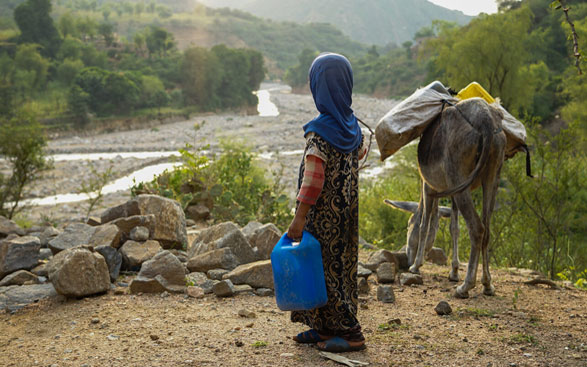 L'image montre une jeune fille et un âne regardant dans le lit d'une rivière.