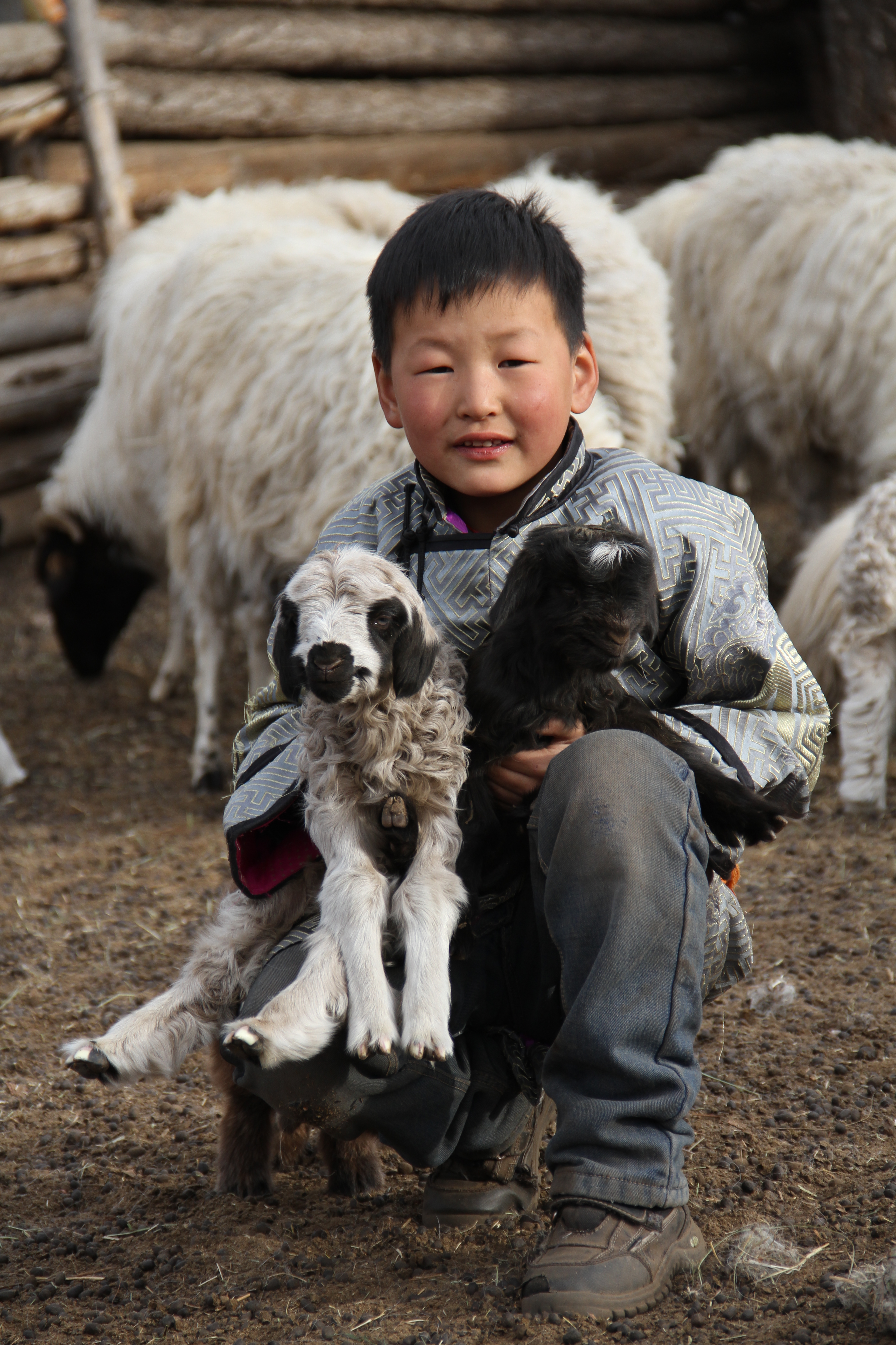 Niño en cuclillas, con un cordero blanco y uno negro.