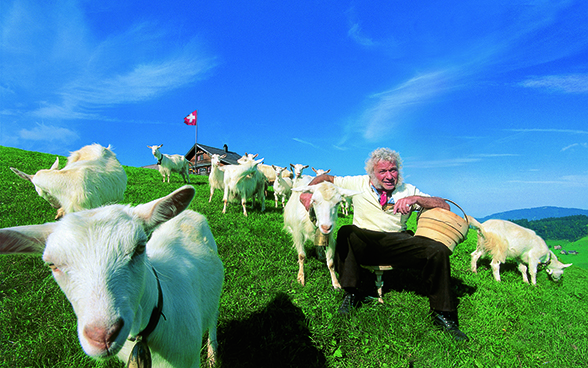 A herder with his goats.