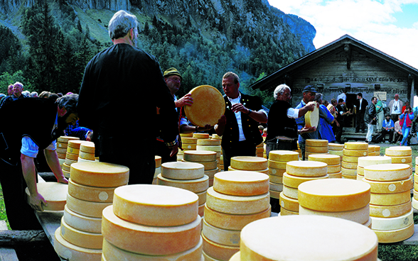 Whole cheeses stacked into towers.