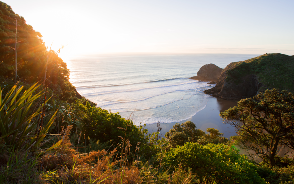 View of White's Beach and the sea.