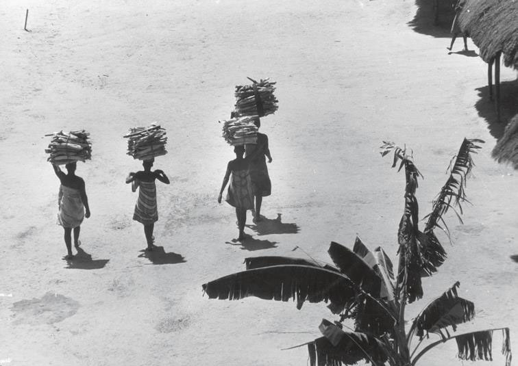 Four women carrying firewood on their heads walk past palm trees and huts 