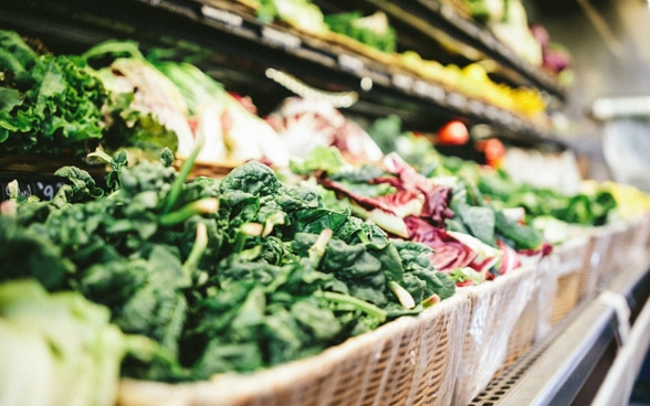 View of the vegetable section of a supermarket.