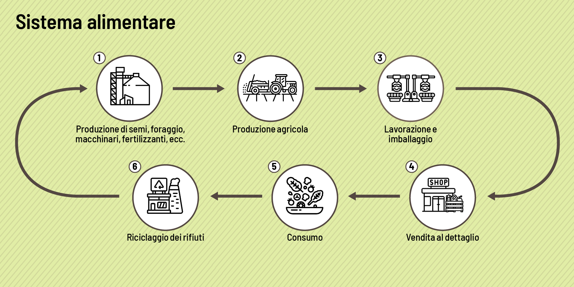 Grafico che mostra un sistema alimentare dalla produzione di sementi e foraggio alla produzione agricola per la lavorazione e il confezionamento fino alla vendita nel commercio al dettaglio per il consumo e al riciclo dei rifiuti.
