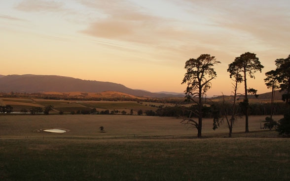 Inmitten der sanften Hügel des Yarra-Valleys befindet sich das Weingut Yeringberg, auf dem die Familie De Pury in vierter Generation renommierten Wein anbaut. 