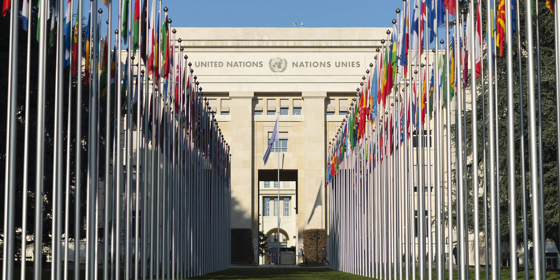 Member States' flags raised in front of the Palais des Nations in Geneva.