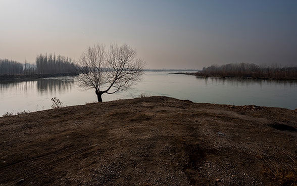 Landscape with a stretch of water and a dry tree in the foreground.