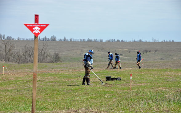 Une équipe de démineurs ratissent un terrain en Ukraine.