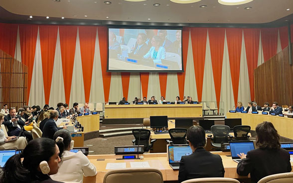 Corinne Cicéron-Bühler appears on a screen in the UN Security Council room in New York.